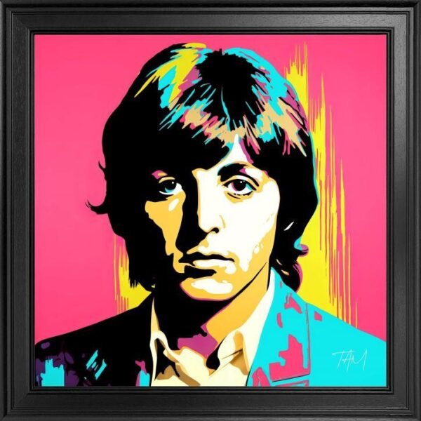 McCartney – Fabrica Collection by The Art Maverick