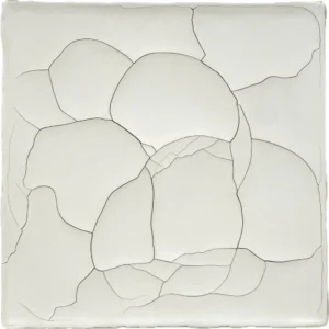 White Sakura - Ground by Susan Gunn