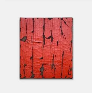 Ground Undone: Orange Blaze II by Susan Gunn