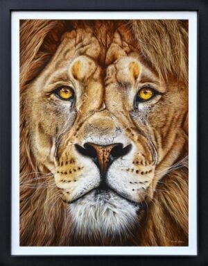 The King By Martin Robson